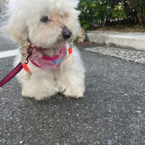 雨が少し降りましたがすぐに晴れました！イメージ