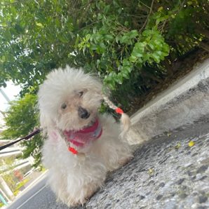 とても暖かい日です！イメージ