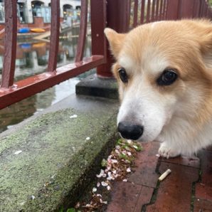 1日雨で憂鬱～(+o+)イメージ
