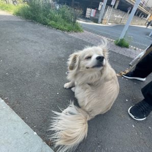 ぽっかぽかです（●＾o＾●）イメージ