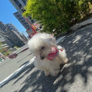とても暖かい日でした！イメージ