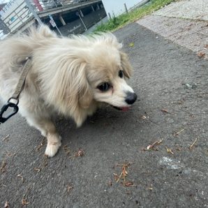 今日は曇り空で涼しかったです。イメージ