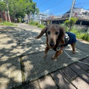 今日も暑かったですね！！イメージ