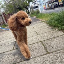 夏の様なお天気でしたイメージ