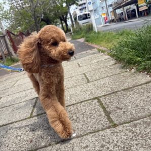 夏の様なお天気でしたイメージ