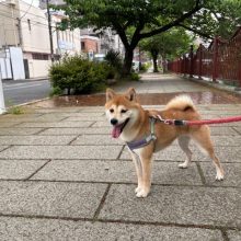 ホテルが少しずつ賑やかに♪イメージ