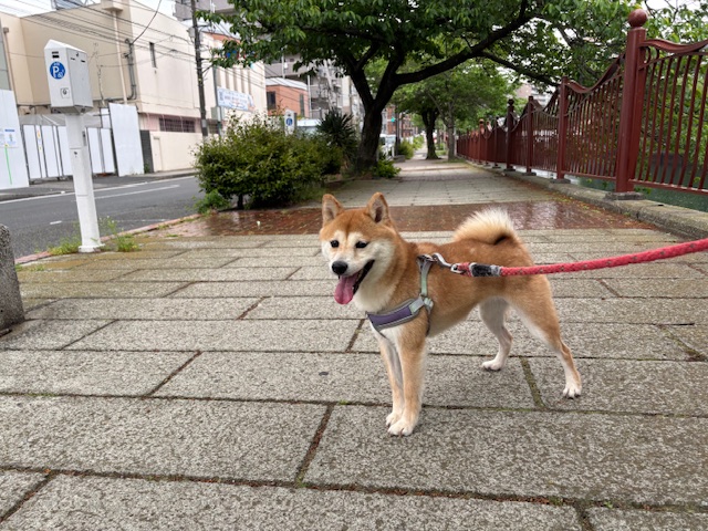 ホテルが少しずつ賑やかに♪イメージ
