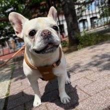 みんな仲良しです♬イメージ