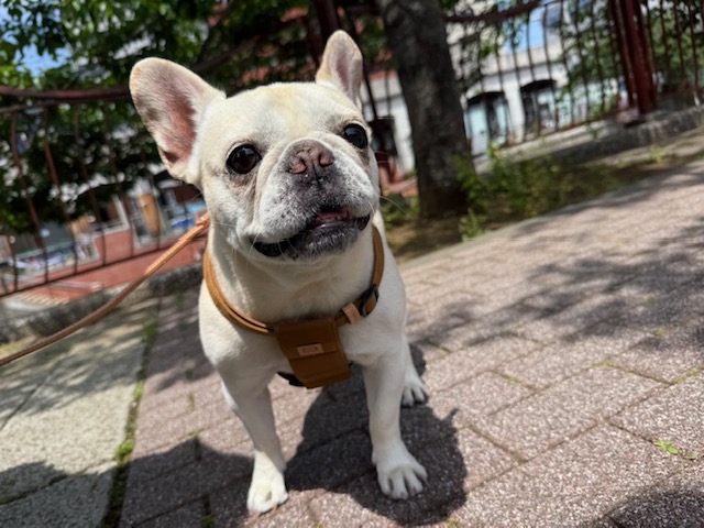 みんな仲良しです♬イメージ