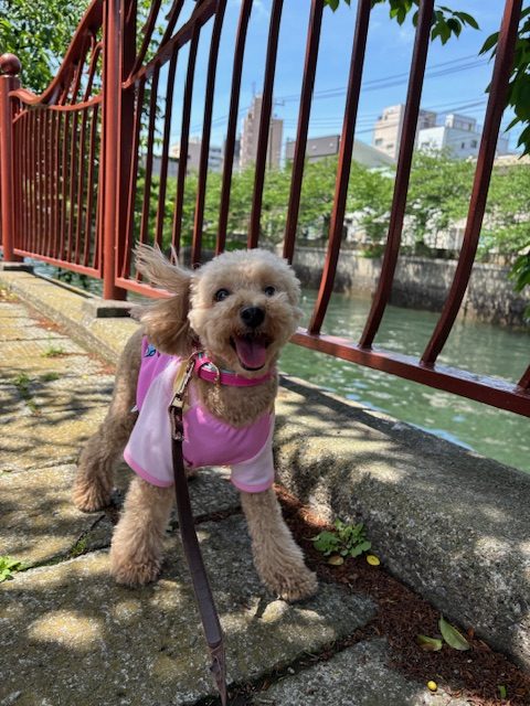 だんだん暖かくなってきましたね(*^^*)イメージ