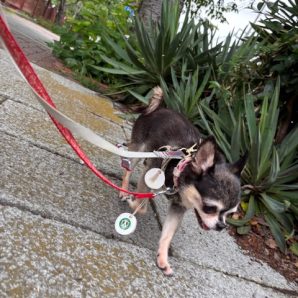 今日は涼しい日でした(^^♪イメージ
