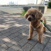朝は少し涼しかったです(*^^*)イメージ