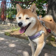 GWももうすぐ終了！イメージ