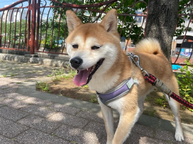 GWももうすぐ終了！イメージ
