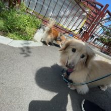 いいお天気です～！イメージ
