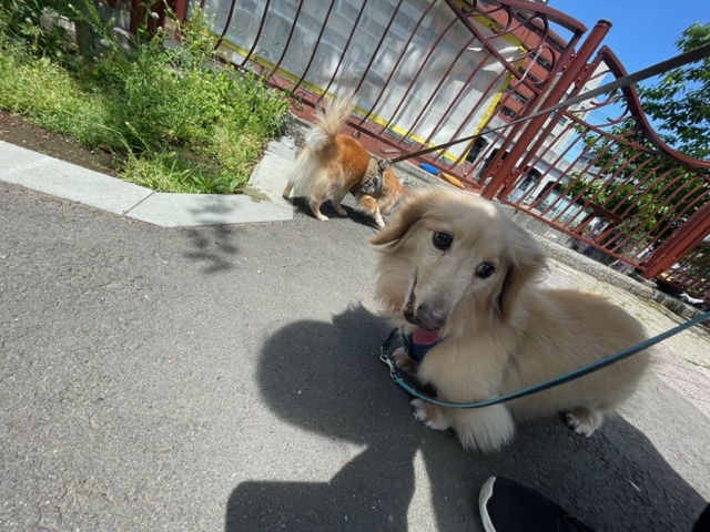 いいお天気です～！イメージ