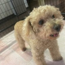 晴れて夕方お散歩へ出発です！イメージ