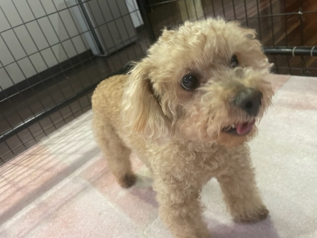 晴れて夕方お散歩へ出発です！イメージ