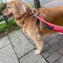とても暑い日でした！イメージ