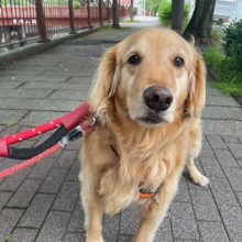 今日は曇り空でしたが涼しかったのでオールOK❣イメージ