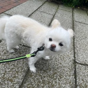 午後から晴れました♬イメージ