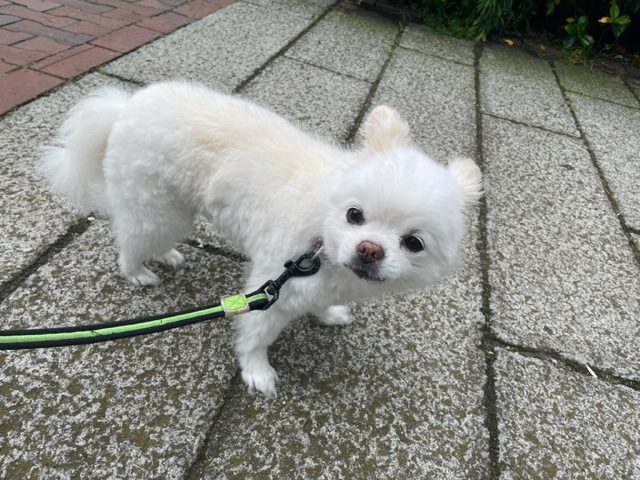 午後から晴れました♬イメージ