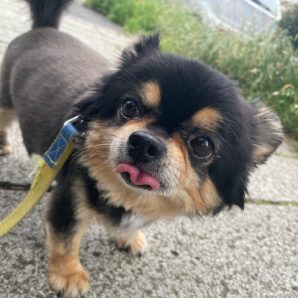 もうすぐ梅雨入りですね(-_-)イメージ