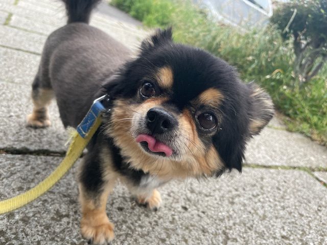 もうすぐ梅雨入りですね(-_-)イメージ