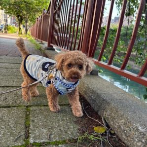今日はアツアツでした～(^O^)／イメージ