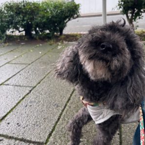 今日もジメジメな日でした～😖イメージ