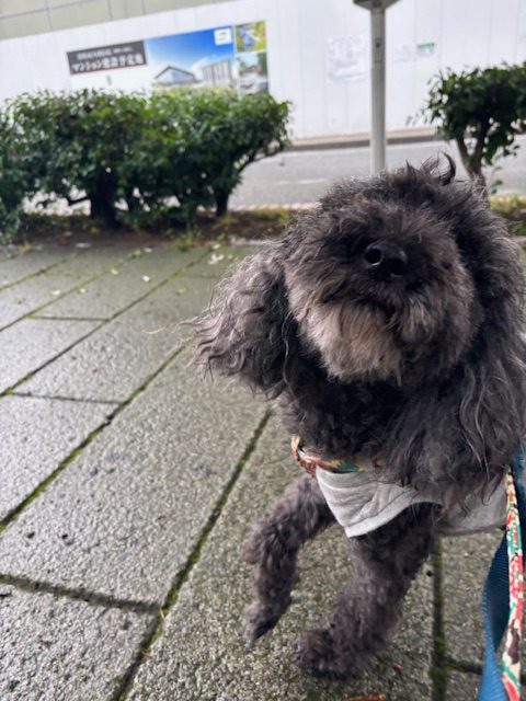 今日もジメジメな日でした～😖イメージ