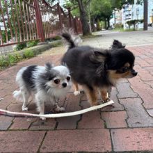 今日もにぎやかな1日でした♪イメージ