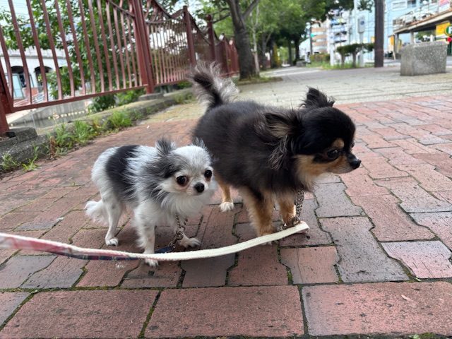 今日もにぎやかな1日でした♪イメージ