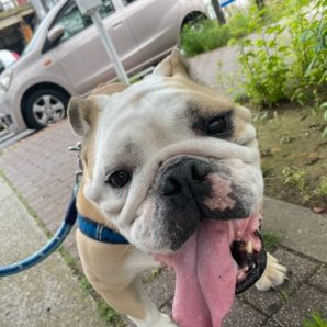昨日より涼しい1日でした(*^^)vイメージ