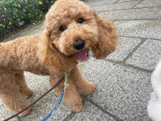 久しぶりの晴れです‼イメージ