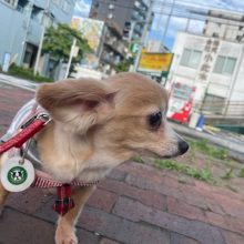 みんな元気いっぱいです(≧◇≦)イメージ