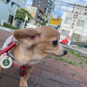 みんな元気いっぱいです(≧◇≦)イメージ