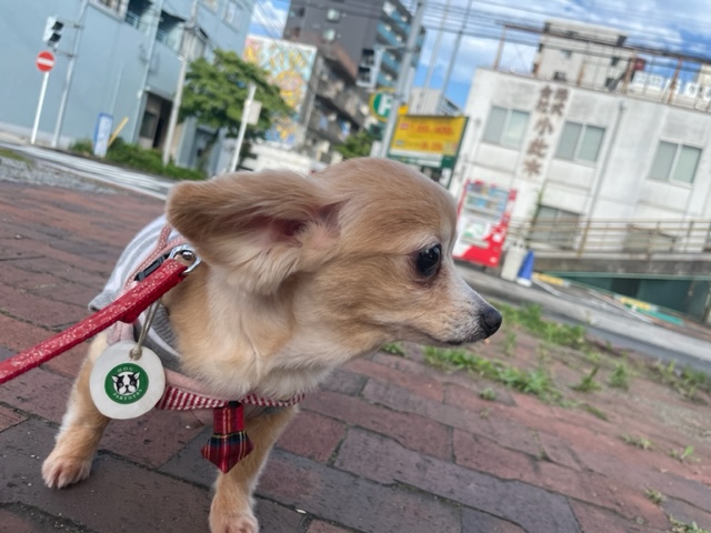 みんな元気いっぱいです(≧◇≦)イメージ