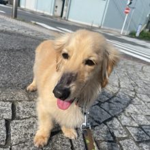 ホテルが賑やかです(*^^*)イメージ