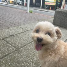 涼しい風が吹いています(*’▽’)イメージ
