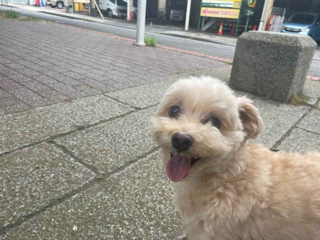 涼しい風が吹いています(*’▽’)イメージ