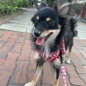 今日も暑いです(>_<)イメージ