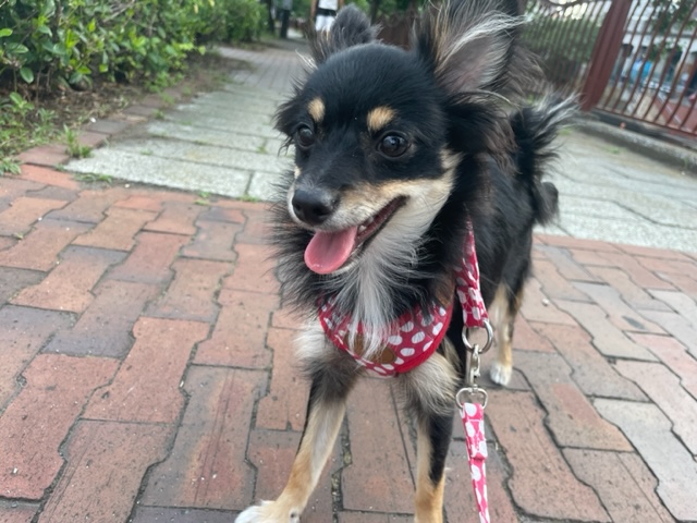 今日も暑いです(>_<)イメージ