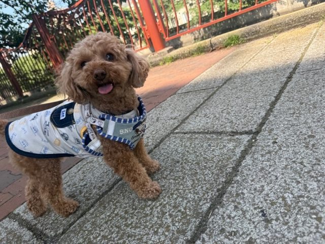 みんなのんびり過ごしています(^O^)／イメージ