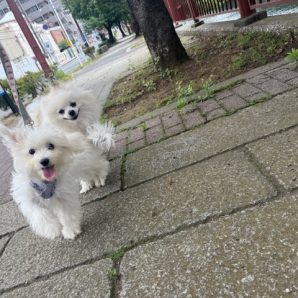にぎやかです～イメージ