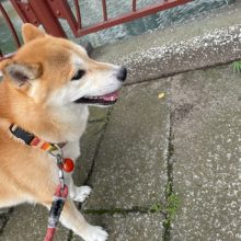 気持ちの良いお天気です(^O^)／イメージ