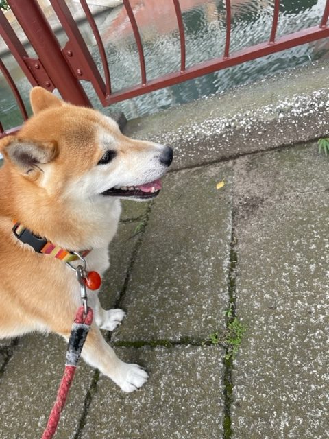 気持ちの良いお天気です(^O^)／イメージ