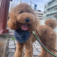 みんな元気いっぱいです(*’▽’)イメージ