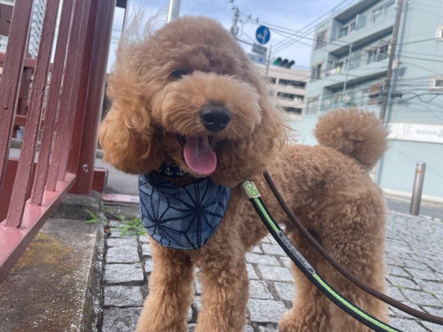 みんな元気いっぱいです(*’▽’)イメージ