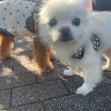 今日もとても暑いです!!イメージ